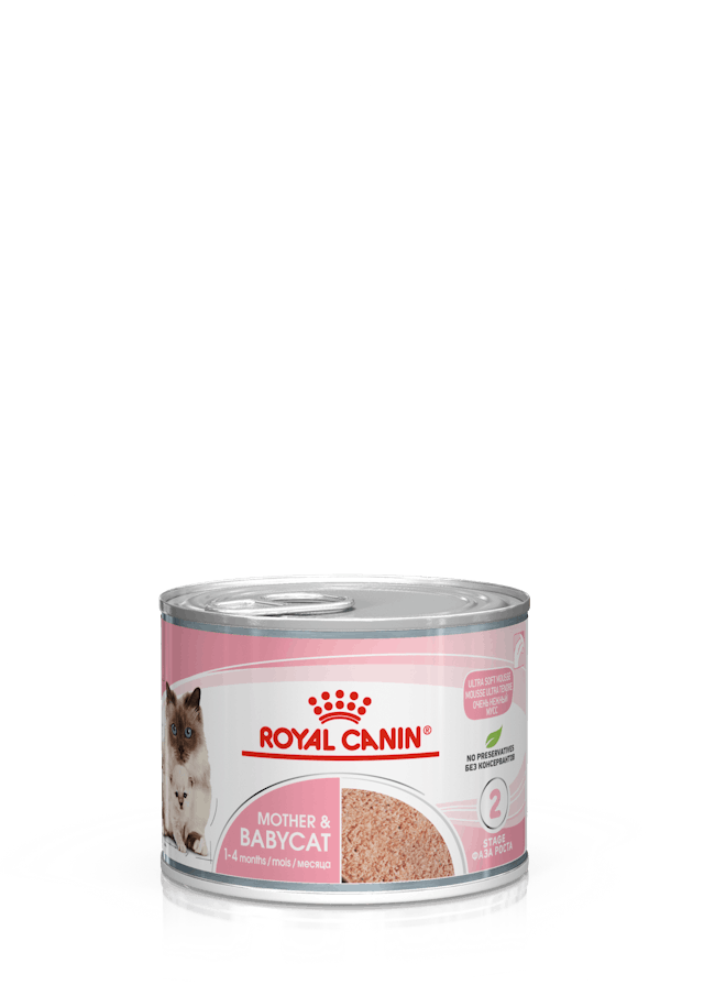Royal Canin Mother&Babycat Mousse 195g Royal Canin Mother&Babycat Mousse 195g